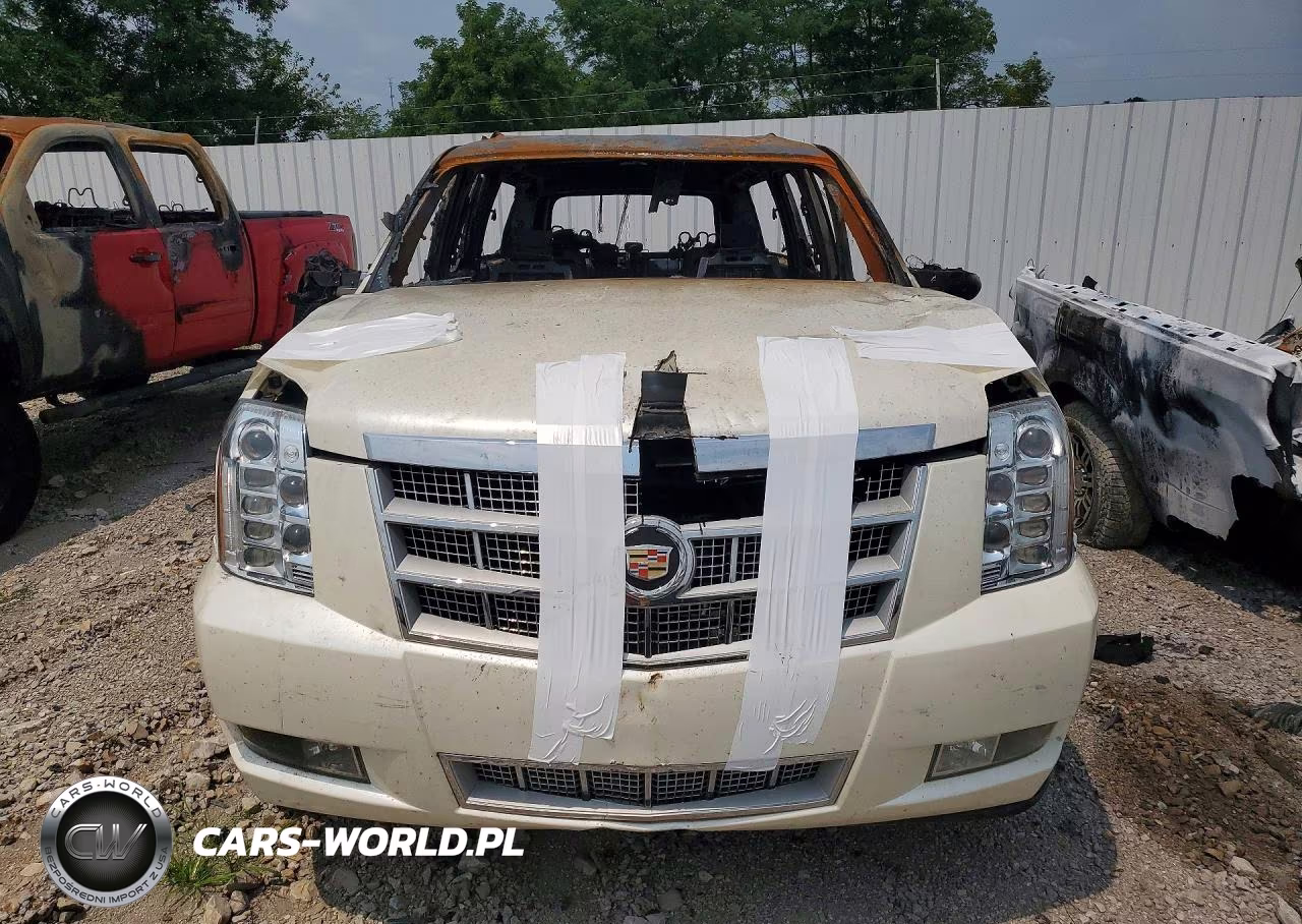 2010 Cadillac Escalade Esv Platinum VIN:1GYUKKEFXAR273135 - 5