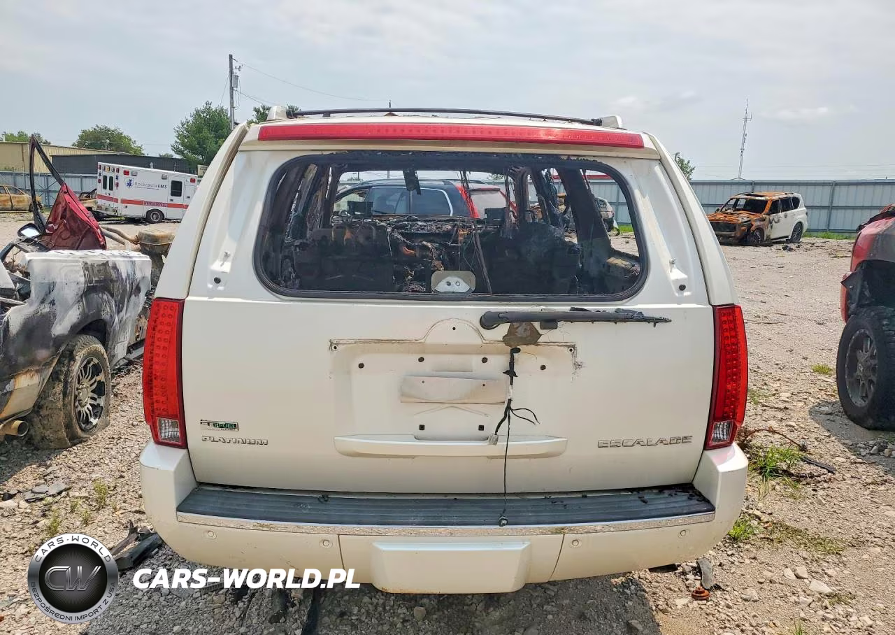 2010 Cadillac Escalade Esv Platinum VIN:1GYUKKEFXAR273135 - 6