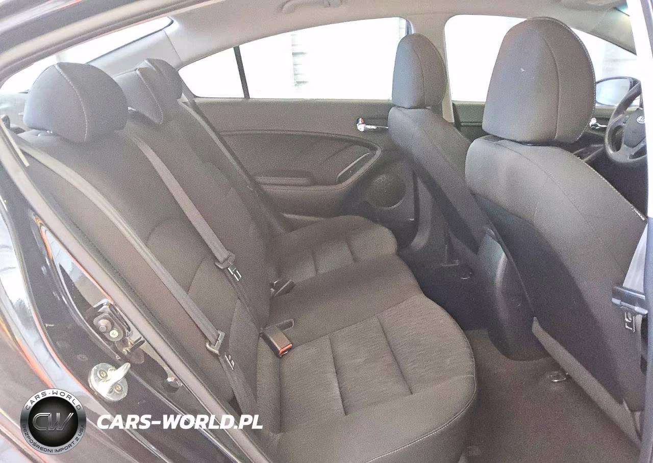 2016 Kia Forte Lx VIN:KNAFK4A67G5561885 - 10