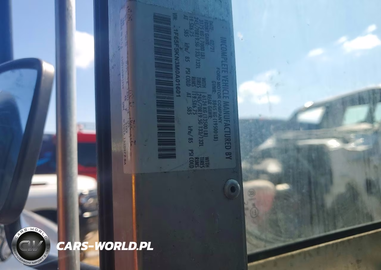 2021 Ford F59 Delivery Truck VIN:1F65F5KN3M0A01601 - 12