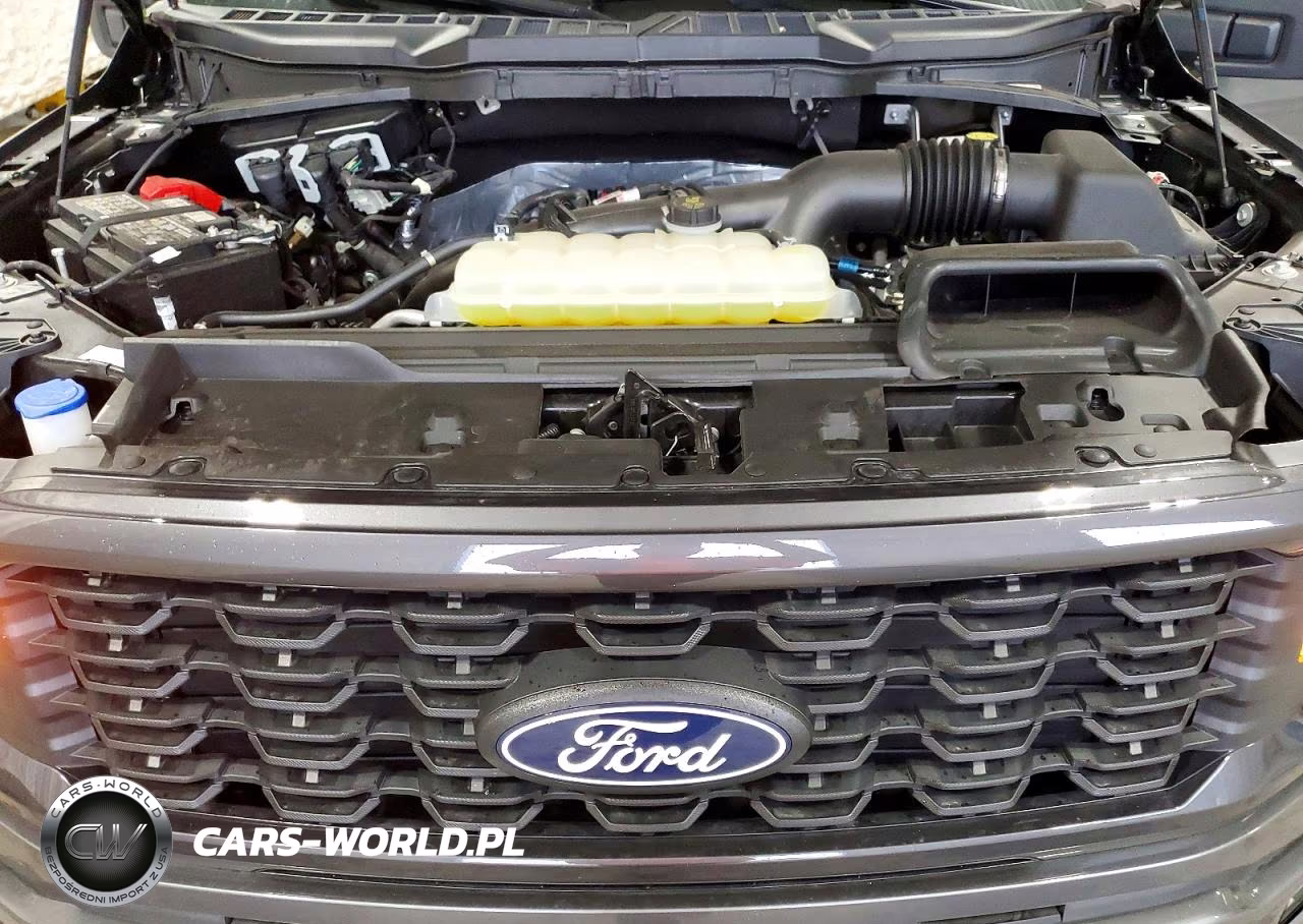 2025 Ford F150 Stx VIN:1FTEW2LP0SKD94437 - 11