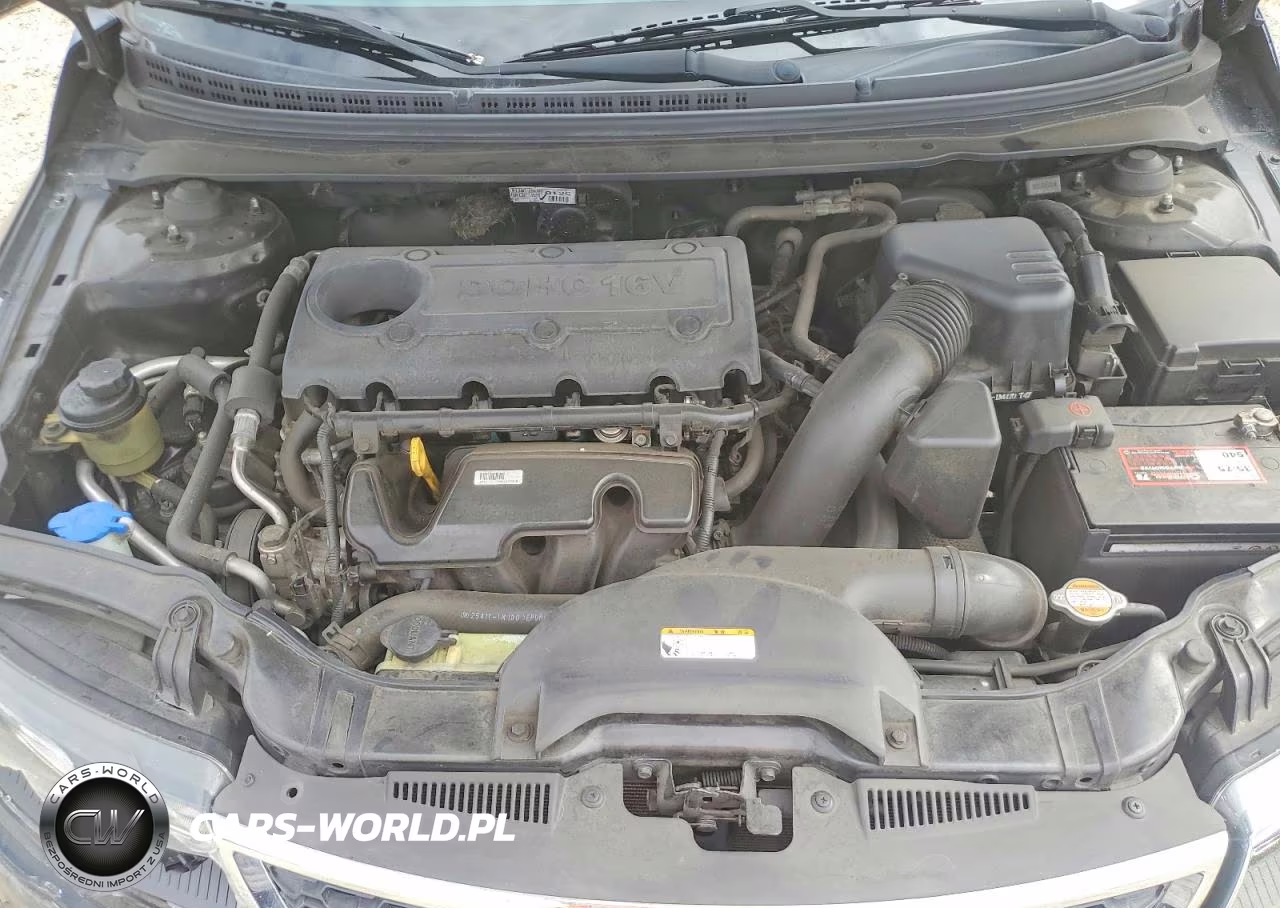 2011 Kia Forte Ex VIN:KNAFU4A27B5459132 - 11