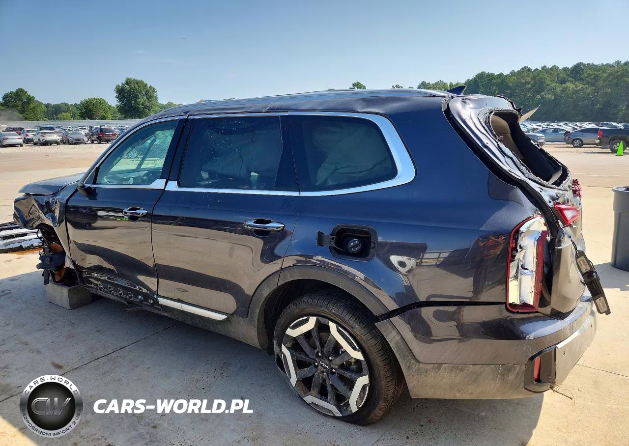 2025 Kia Telluride S VIN:5XYP6DGCXSG695153 - 2