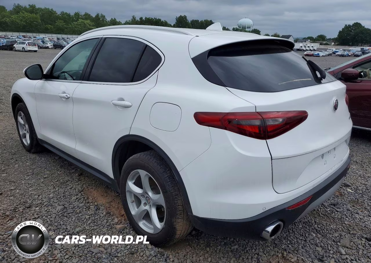 ALFA ROMEO STELVIO VIN:ZASPAJAN3K7C71311 - 2