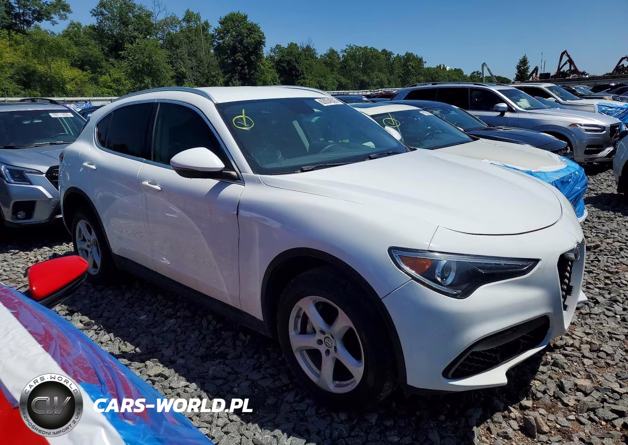 ALFA ROMEO STELVIO VIN:ZASPAJAN3K7C71311 - 4