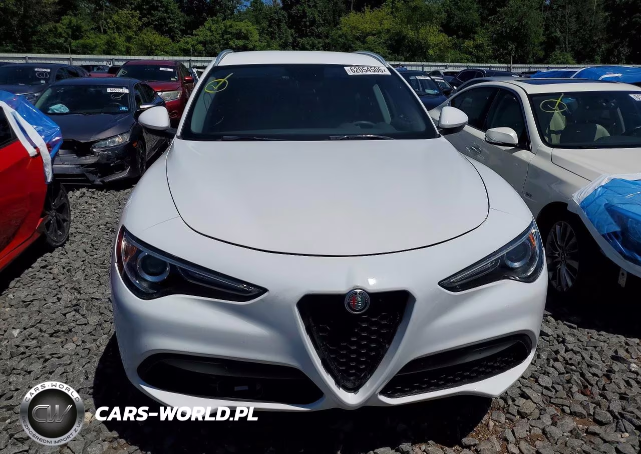 ALFA ROMEO STELVIO VIN:ZASPAJAN3K7C71311 - 5