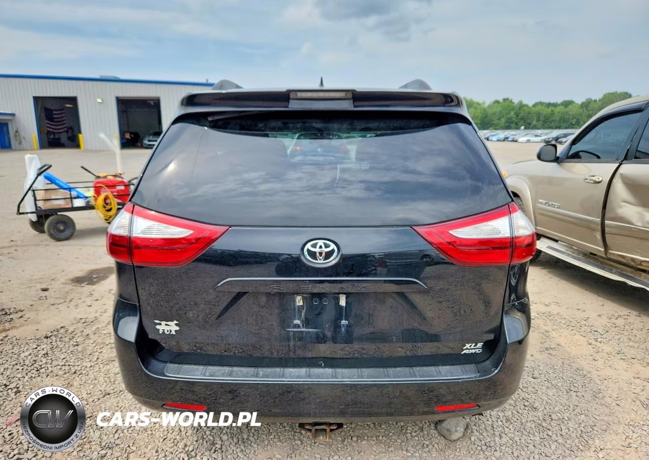 2018 Toyota Sienna Xle 7-Passenger VIN:5TDDZ3DC3JS207395 - 6