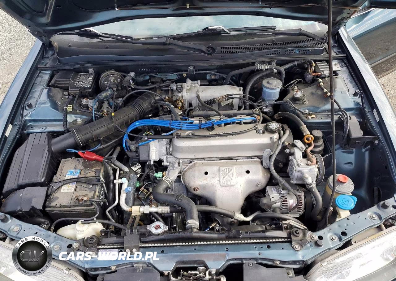 1997 Honda Accord Lx VIN:1HGCD5632VA215012 - 11