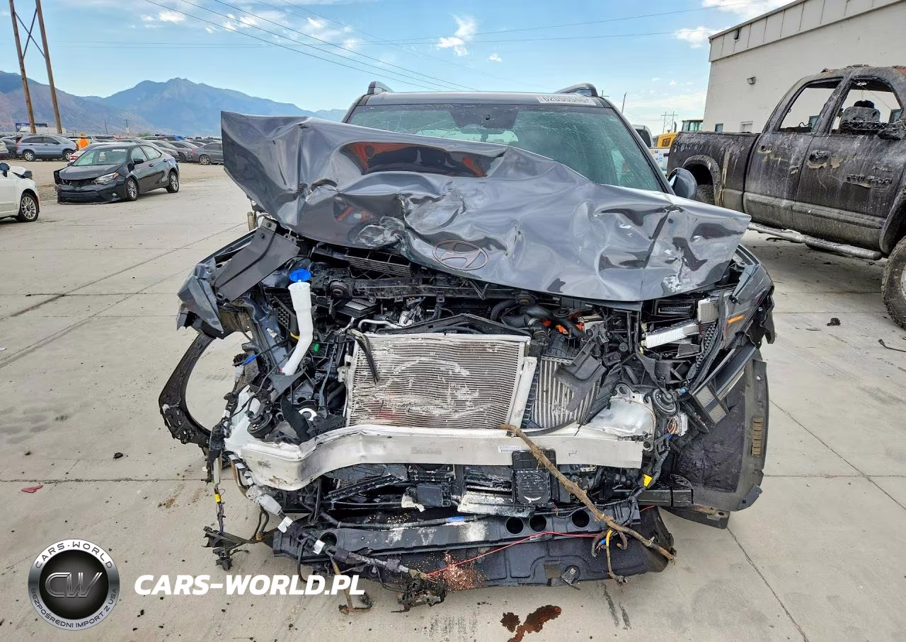 2025 Hyundai Santa Fe Calligraphy VIN:5NMP5DG19SH023348 - 5