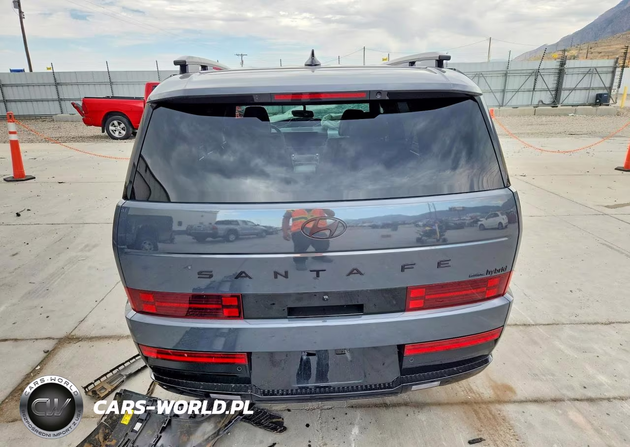 2025 Hyundai Santa Fe Calligraphy VIN:5NMP5DG19SH023348 - 6