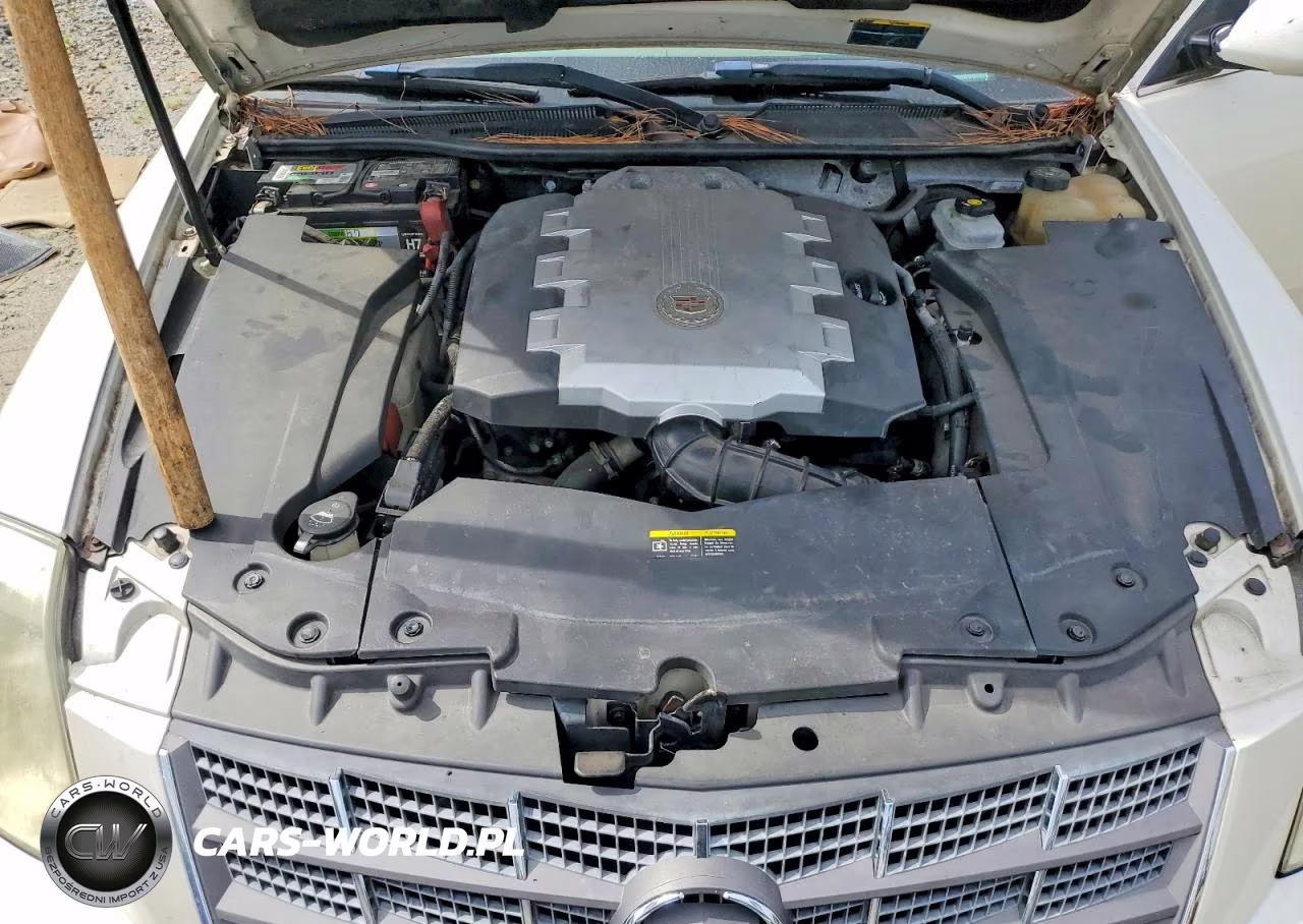 2008 Cadillac Sts VIN:1G6DW67VX80186584 - 11