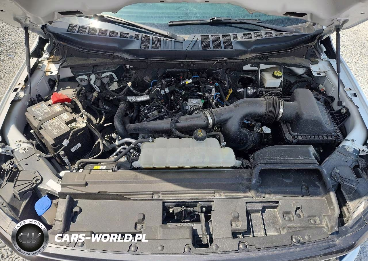 2024 Ford F150 Stx VIN:1FTEW2KP6RKF42960 - 11