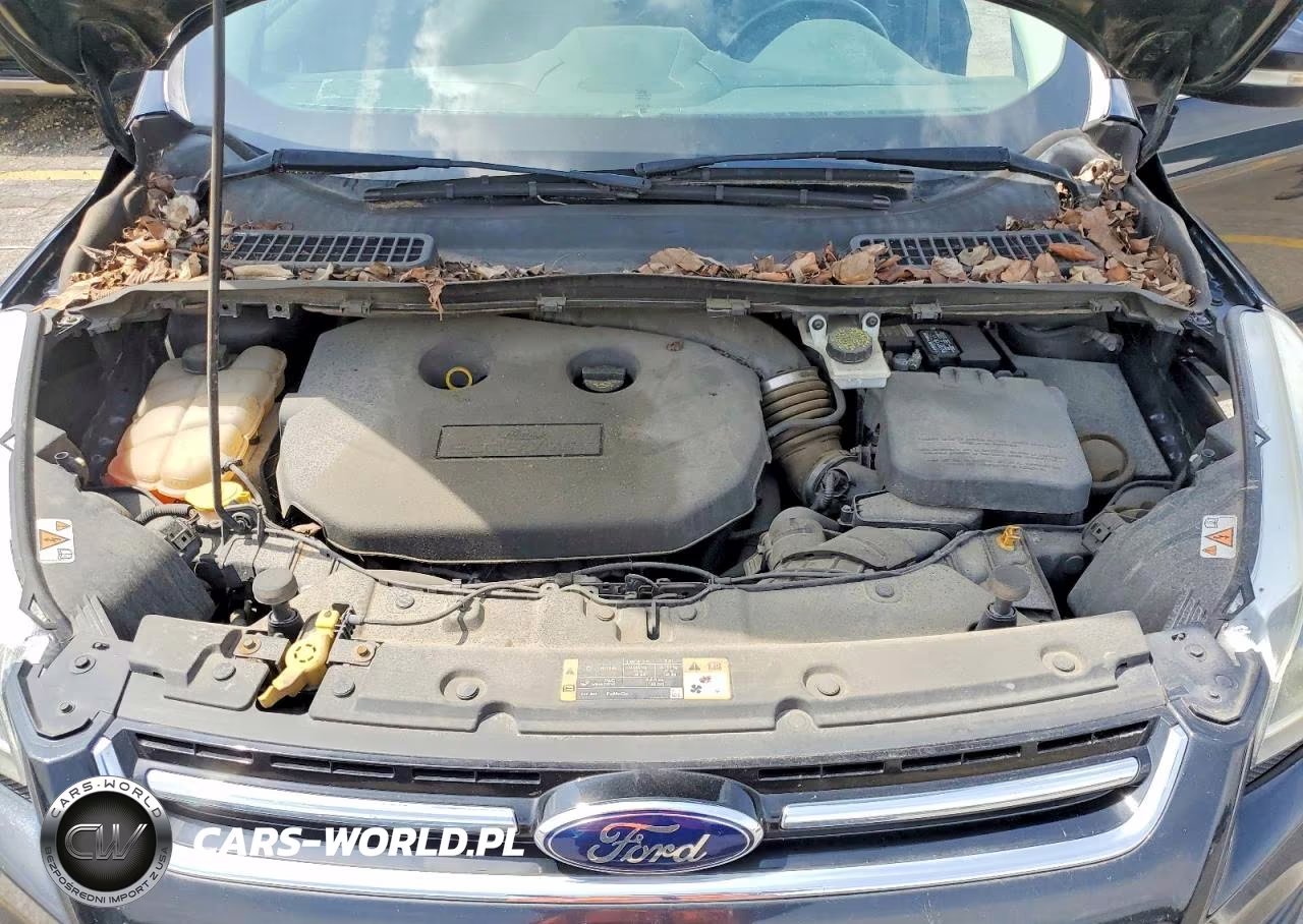 2015 Ford Escape Titanium VIN:1FMCU0J93FUA50483 - 12