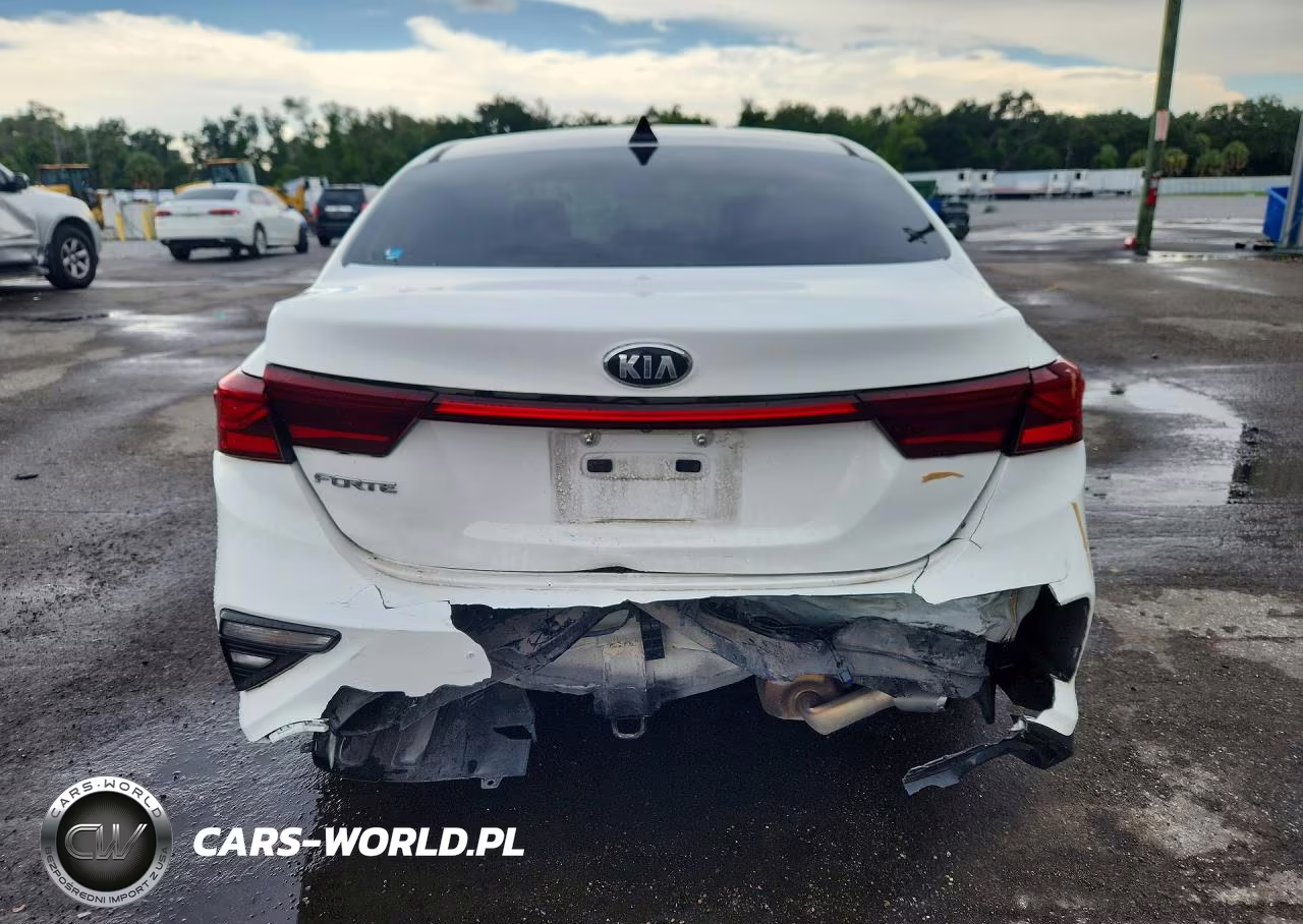 2019 Kia Forte Lxs VIN:3KPF24AD4KE071919 - 6
