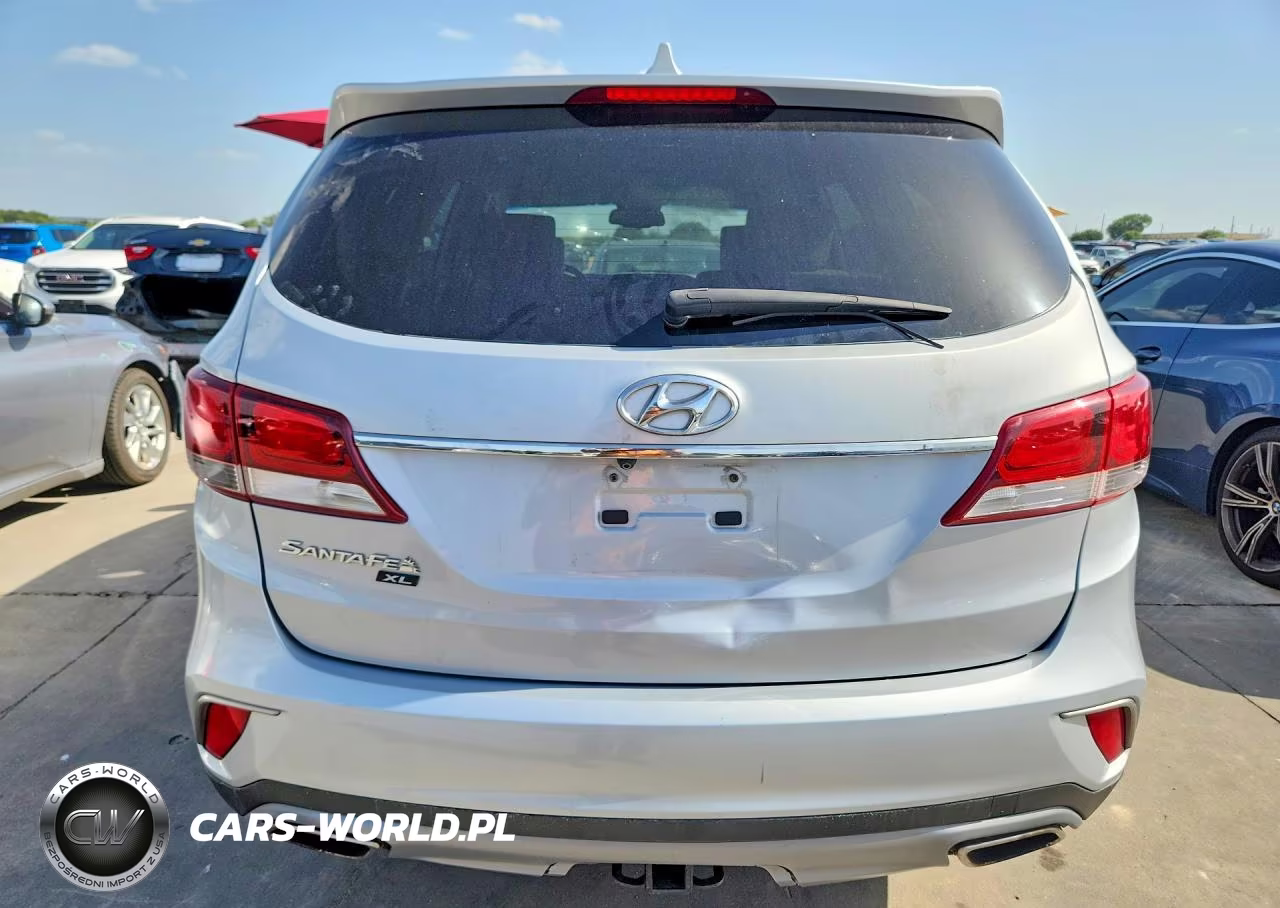 2019 Hyundai Santa Fe Xl Se VIN:KM8SM4HF4KU300466 - 6