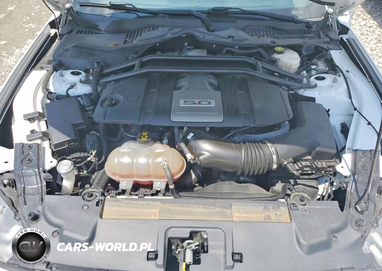 2019 Ford Mustang Gt VIN:1FA6P8CF5K5124152 - 11