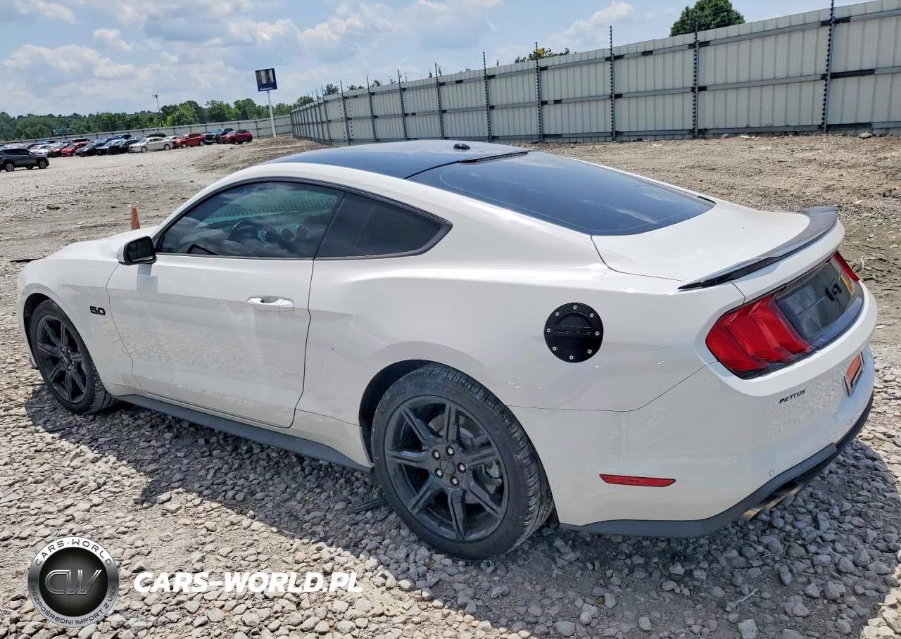 2019 Ford Mustang Gt VIN:1FA6P8CF5K5124152 - 2