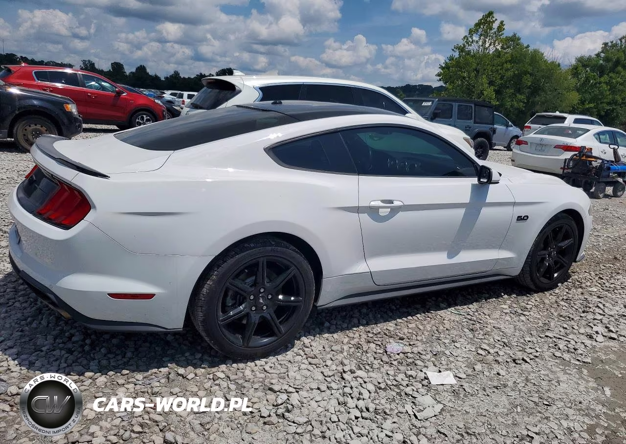 2019 Ford Mustang Gt VIN:1FA6P8CF5K5124152 - 3