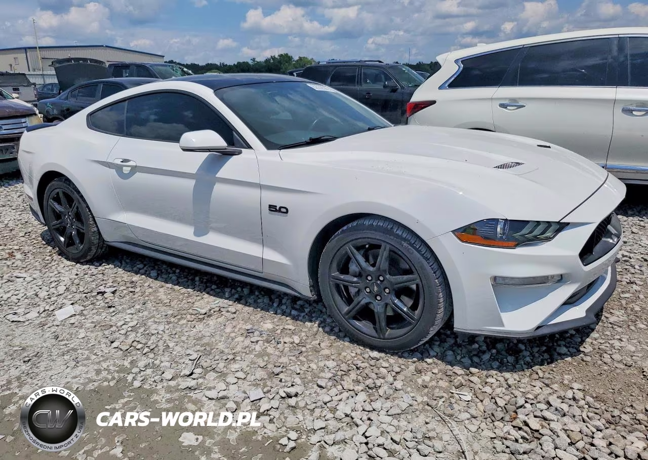 2019 Ford Mustang Gt VIN:1FA6P8CF5K5124152 - 4