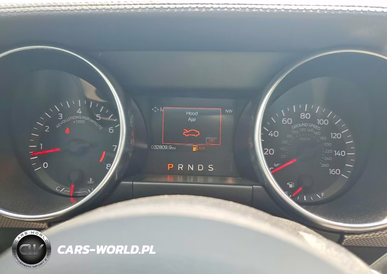 2019 Ford Mustang Gt VIN:1FA6P8CF5K5124152 - 9