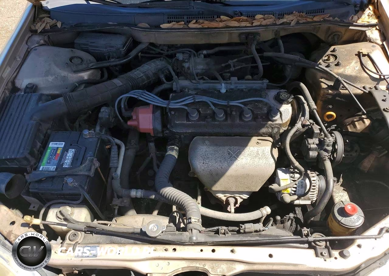 2001 Honda Accord Lx VIN:1HGCG665X1A076871 - 11