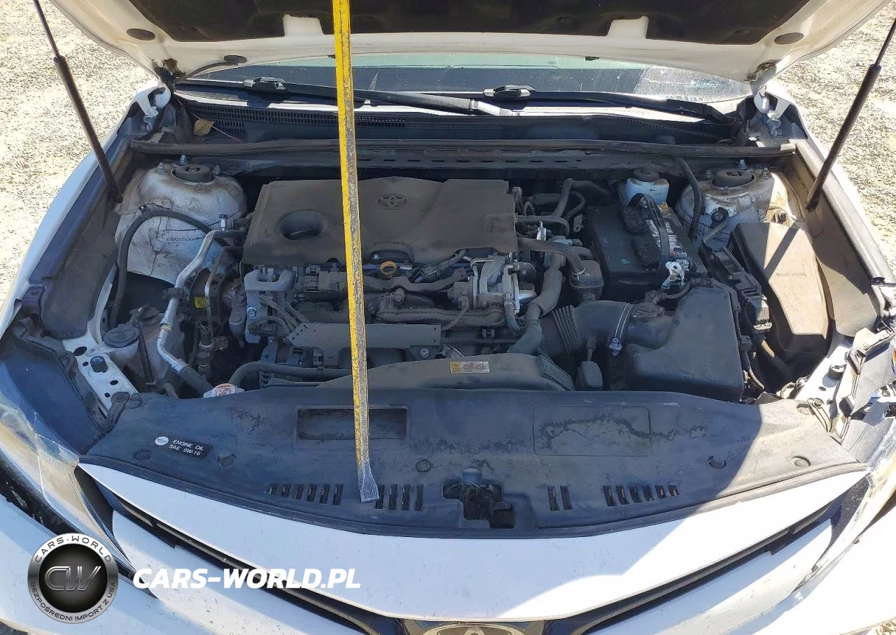 2019 Toyota Camry Le VIN:4T1B11HK0KU266188 - 11