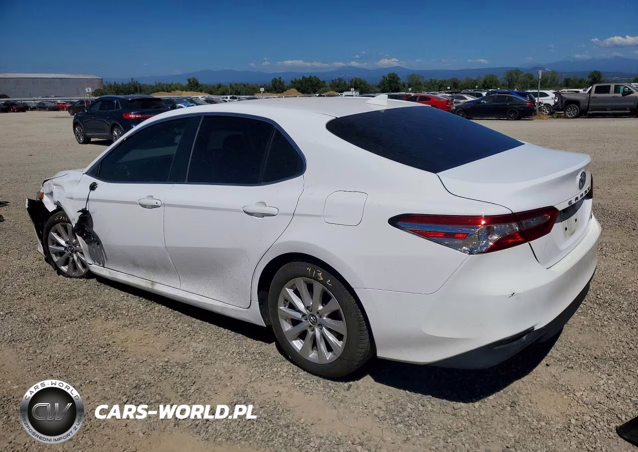 2019 Toyota Camry Le VIN:4T1B11HK0KU266188 - 2