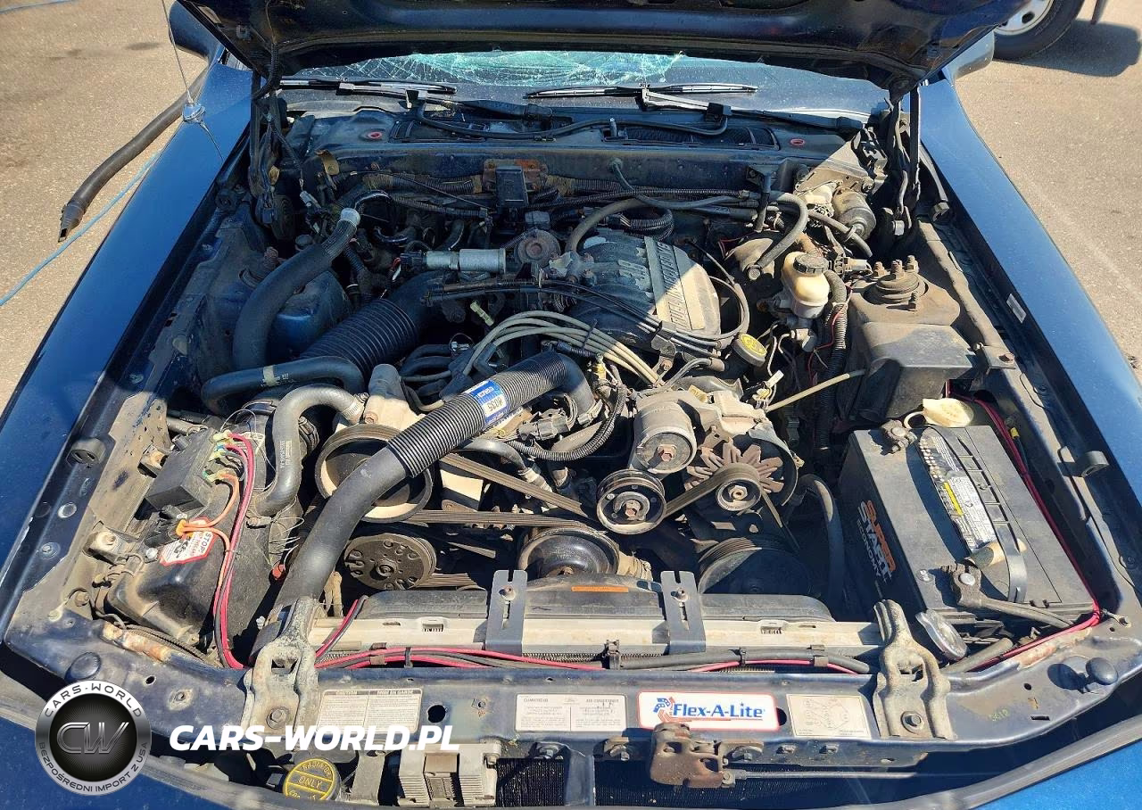 1988 Ford Thunderbird VIN:1FABP6042JH203443 - 11