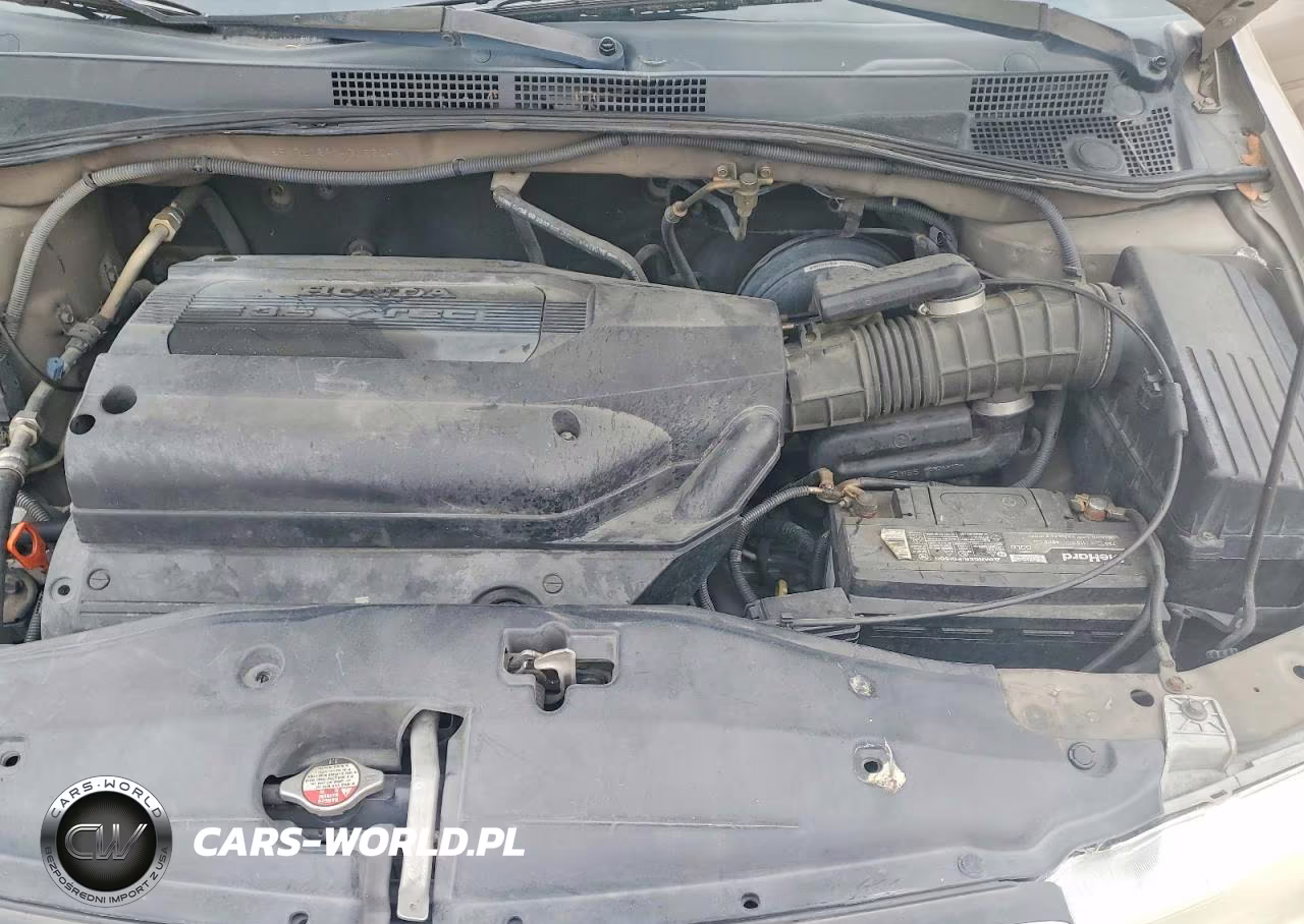 2004 Honda Odyssey Exl VIN:5FNRL189X4B056249 - 12