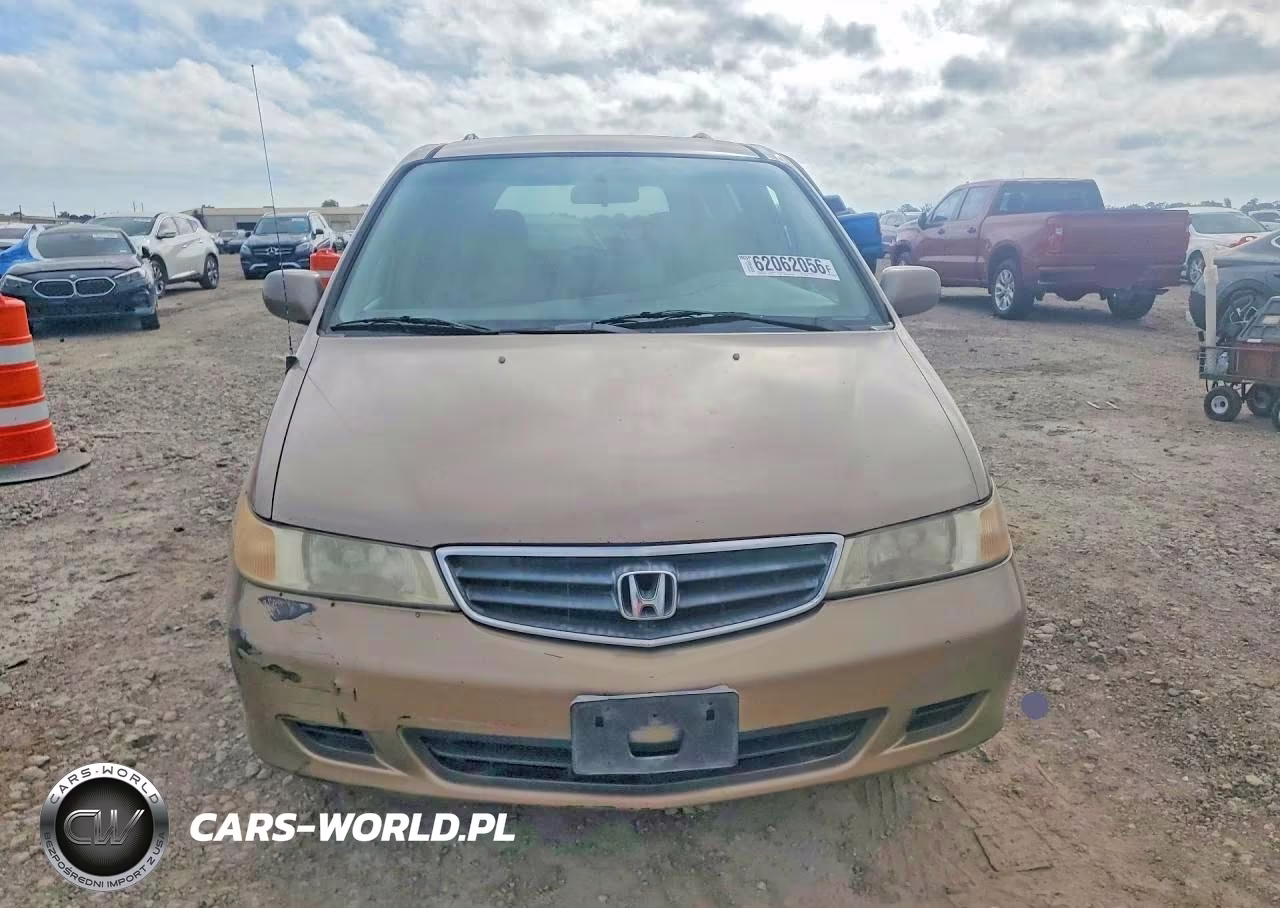 2004 Honda Odyssey Exl VIN:5FNRL189X4B056249 - 5