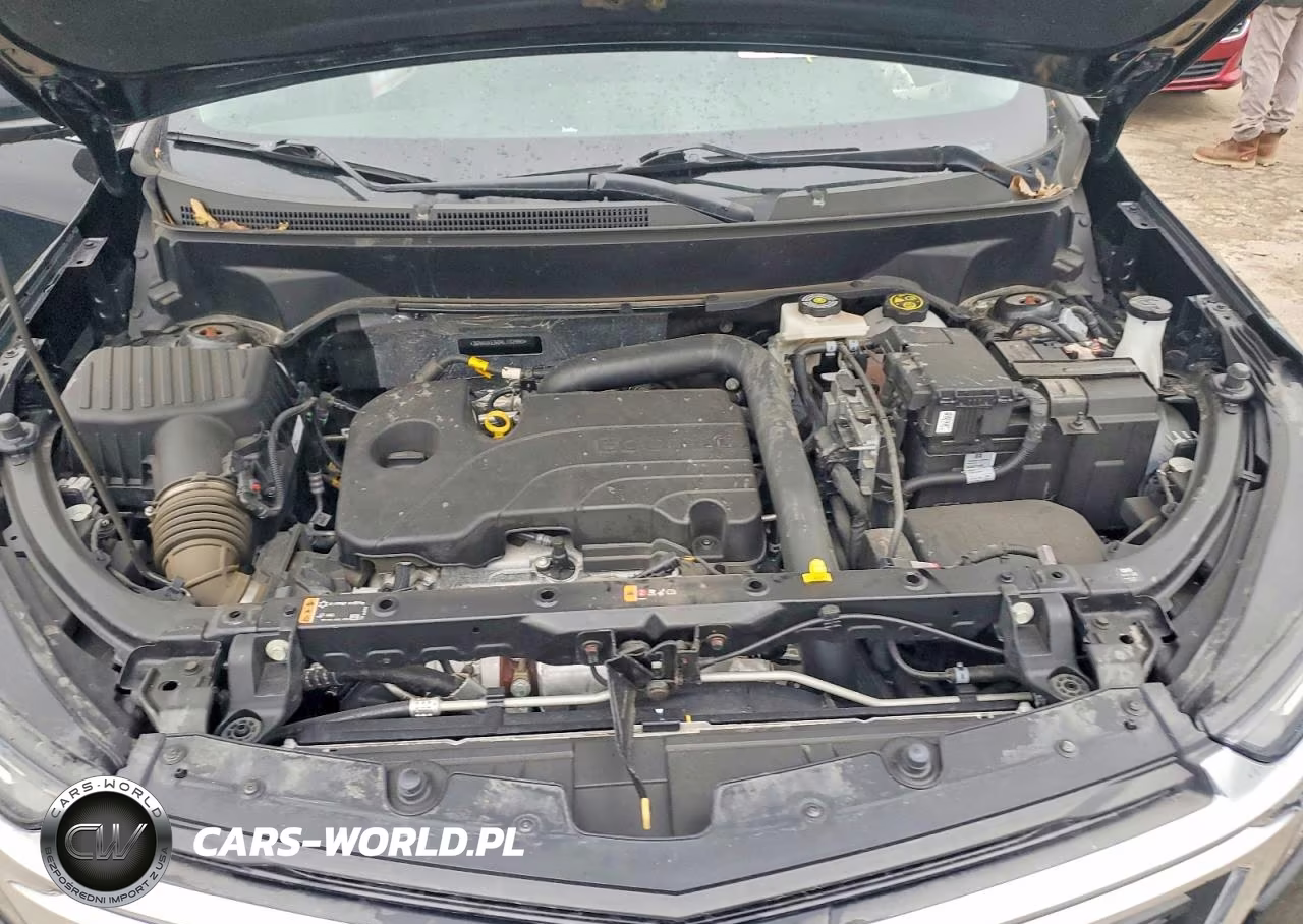 2024 Chevrolet Equinox Lt VIN:3GNAXKEG0RL102990 - 12