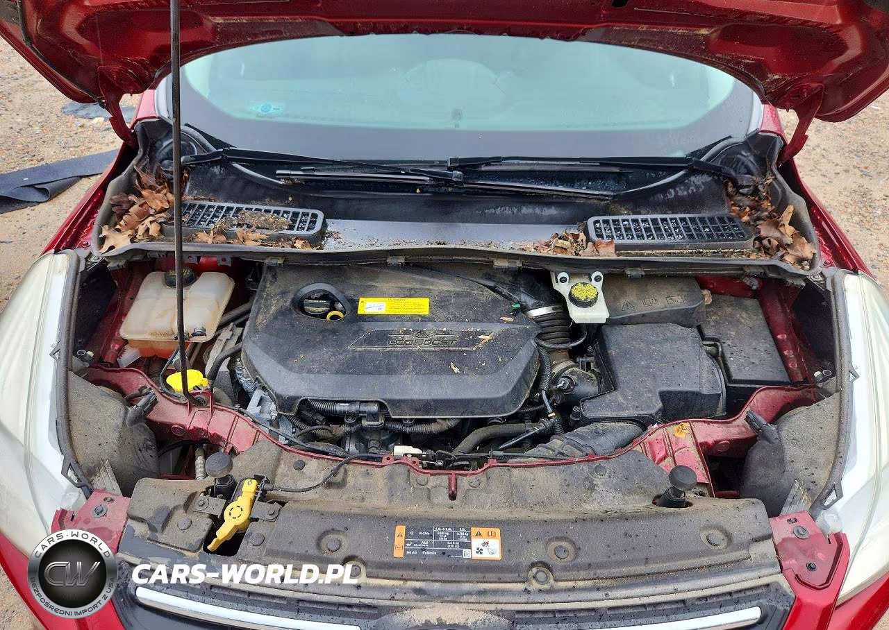 2015 Ford Escape Se VIN:1FMCU0GXXFUC23616 - 11