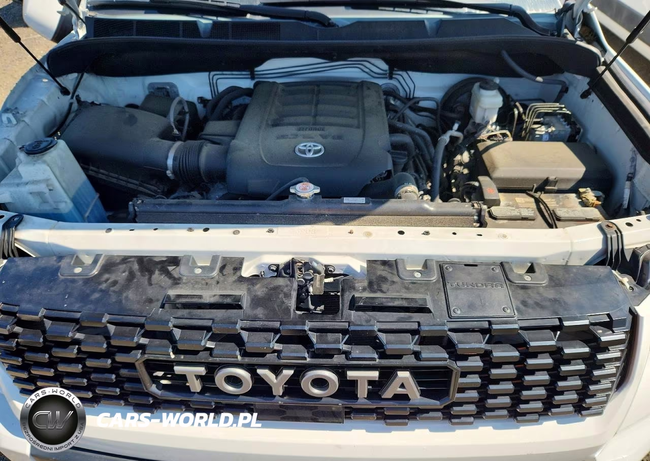 2021 Toyota Tundra Trd Pro VIN:5TFDY5F18MX966908 - 11