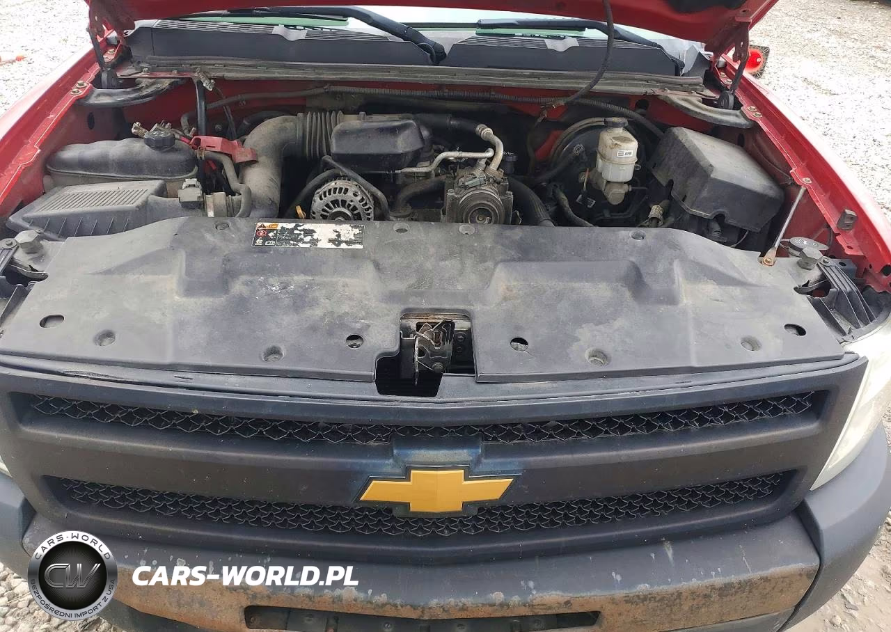 2013 Chevrolet Silverado C1500 VIN:1GCNCPEX4DZ161156 - 11