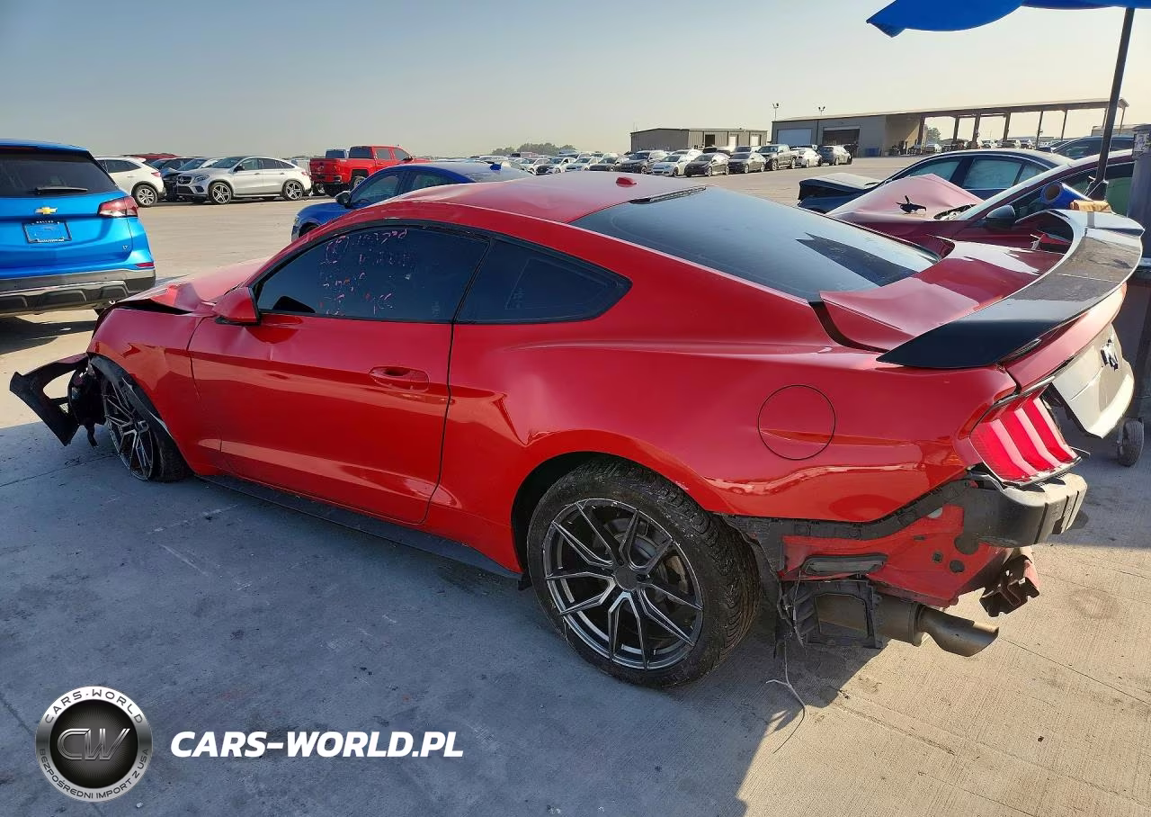 2019 Ford Mustang VIN:1FA6P8TH3K5168149 - 2