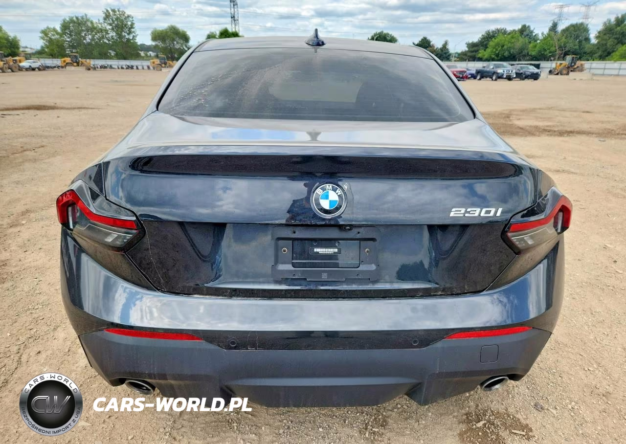 2022 BMW 230I VIN:3MW23CM05N8C46418 - 6