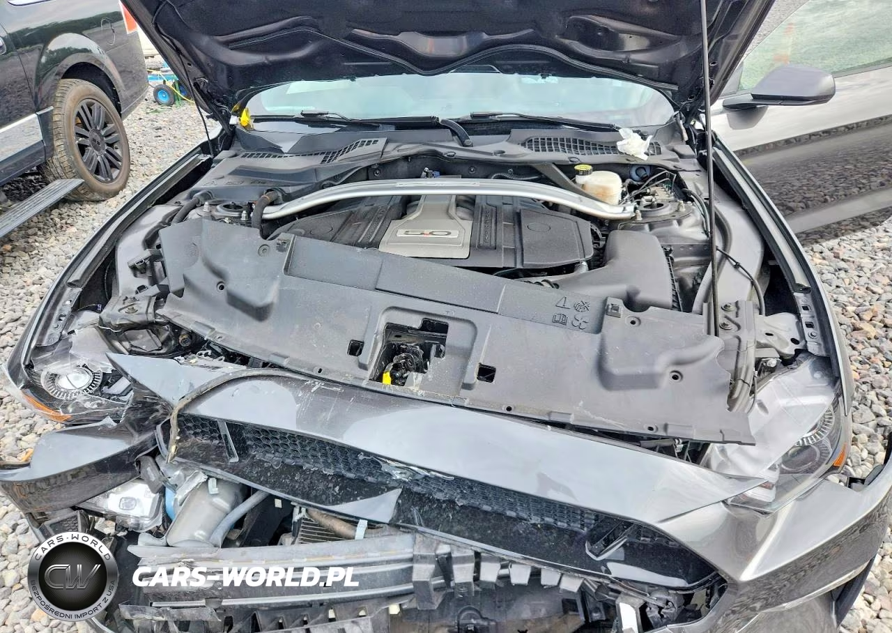 2020 Ford Mustang Gt VIN:1FA6P8CF2L5177702 - 11