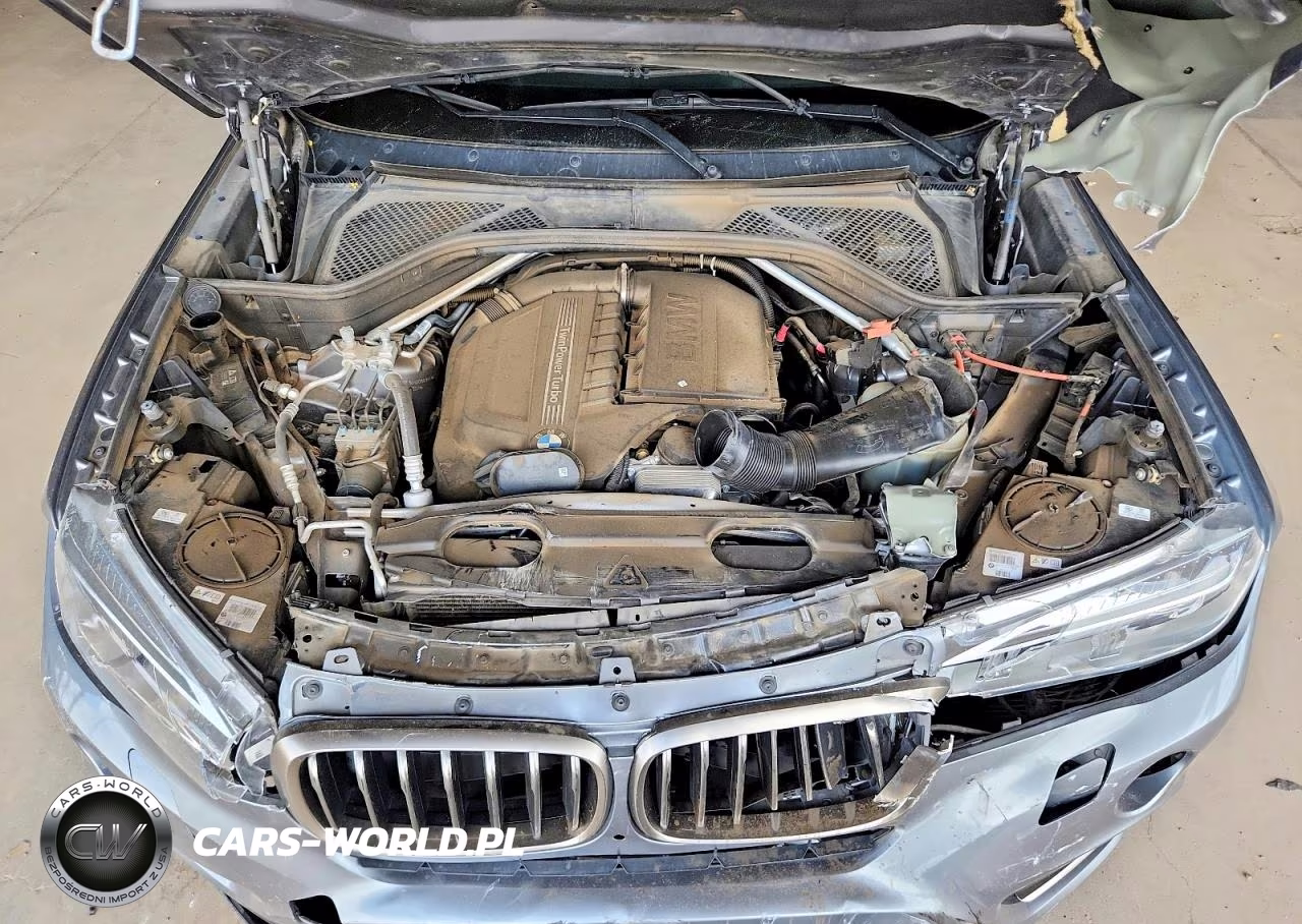 2017 BMW X6 Sdrive35I VIN:5UXKU0C34H0G68156 - 12