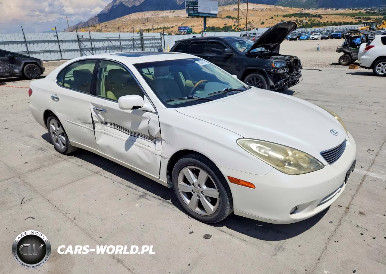 2005 Lexus Es 330 VIN:JTHBA30G755119645 - 4