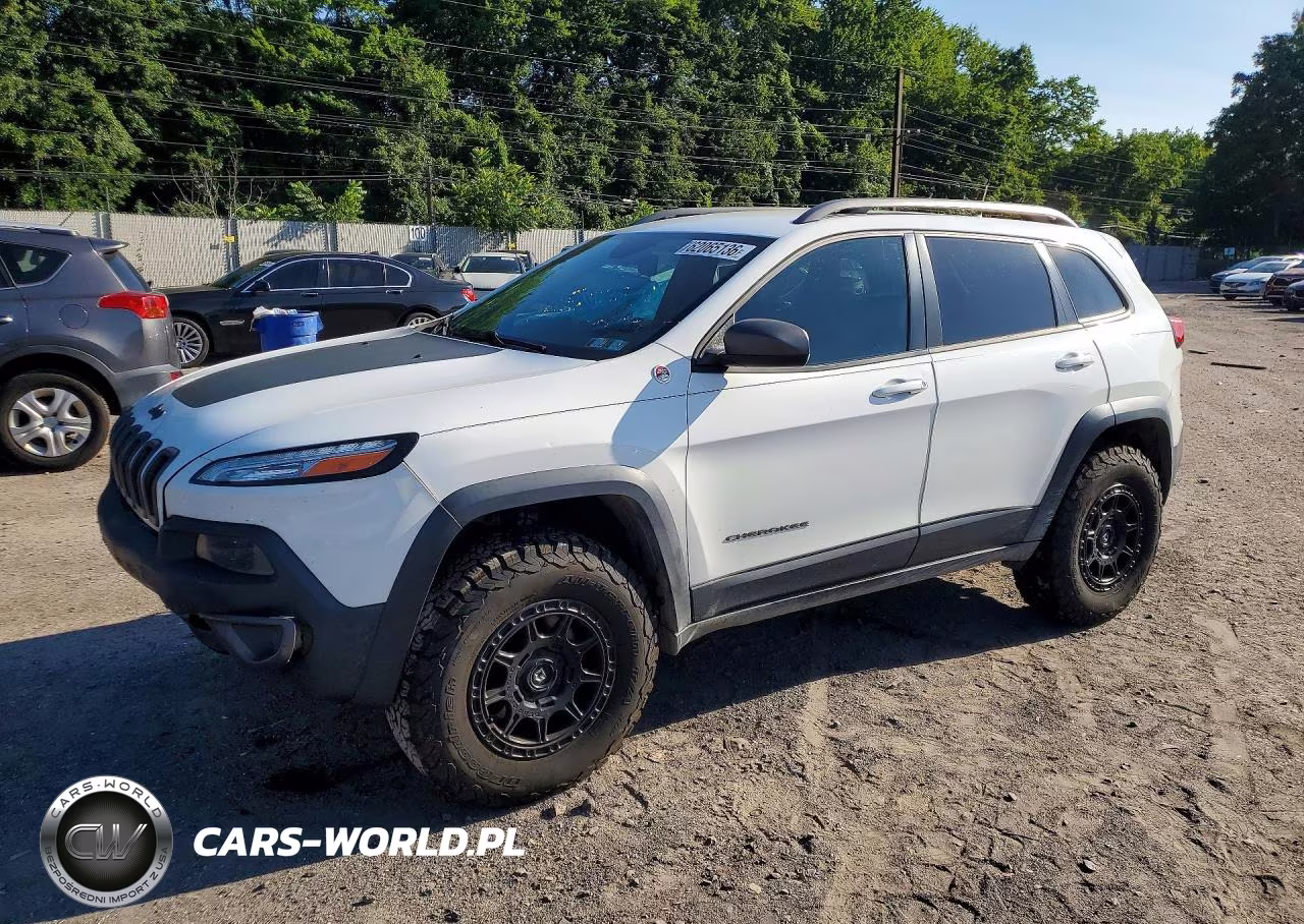2016 Jeep Cherokee Trailhawk VIN:1C4PJMBSXGW253903 - 1