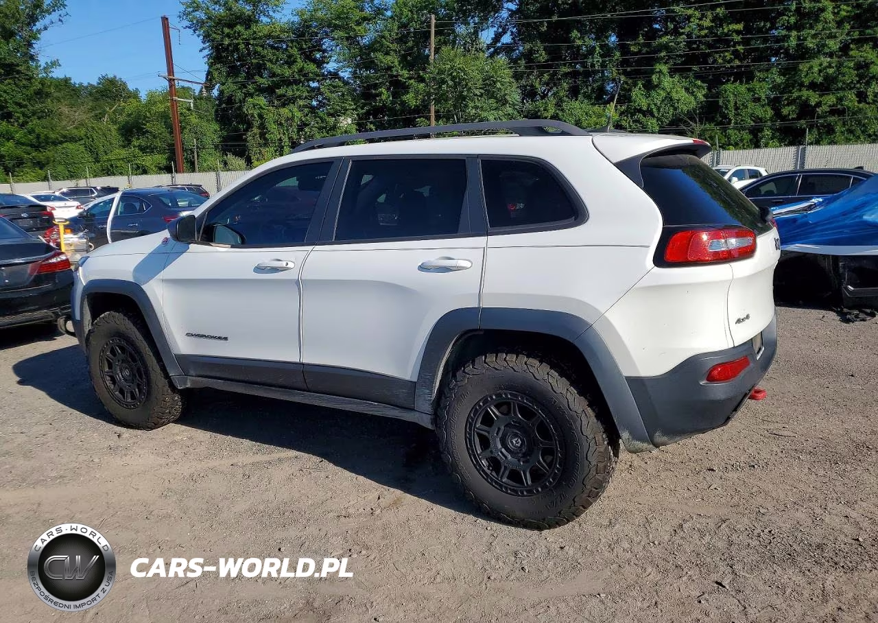 2016 Jeep Cherokee Trailhawk VIN:1C4PJMBSXGW253903 - 2