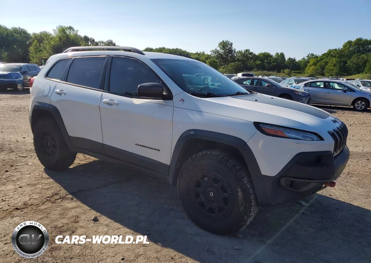 2016 Jeep Cherokee Trailhawk VIN:1C4PJMBSXGW253903 - 4