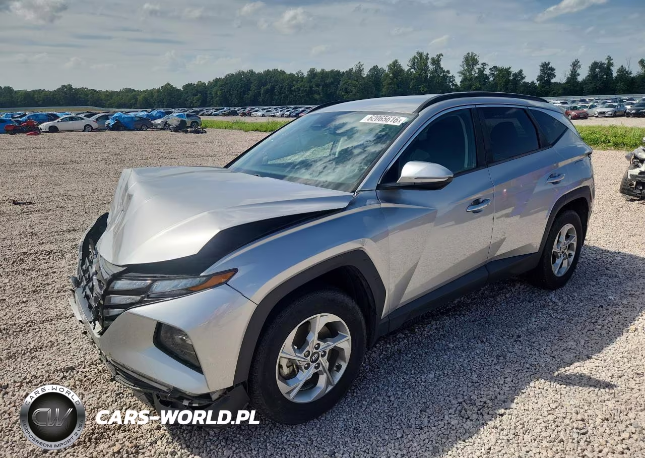 2022 Hyundai Tucson Sel VIN:5NMJBCAE8NH038058 - 1