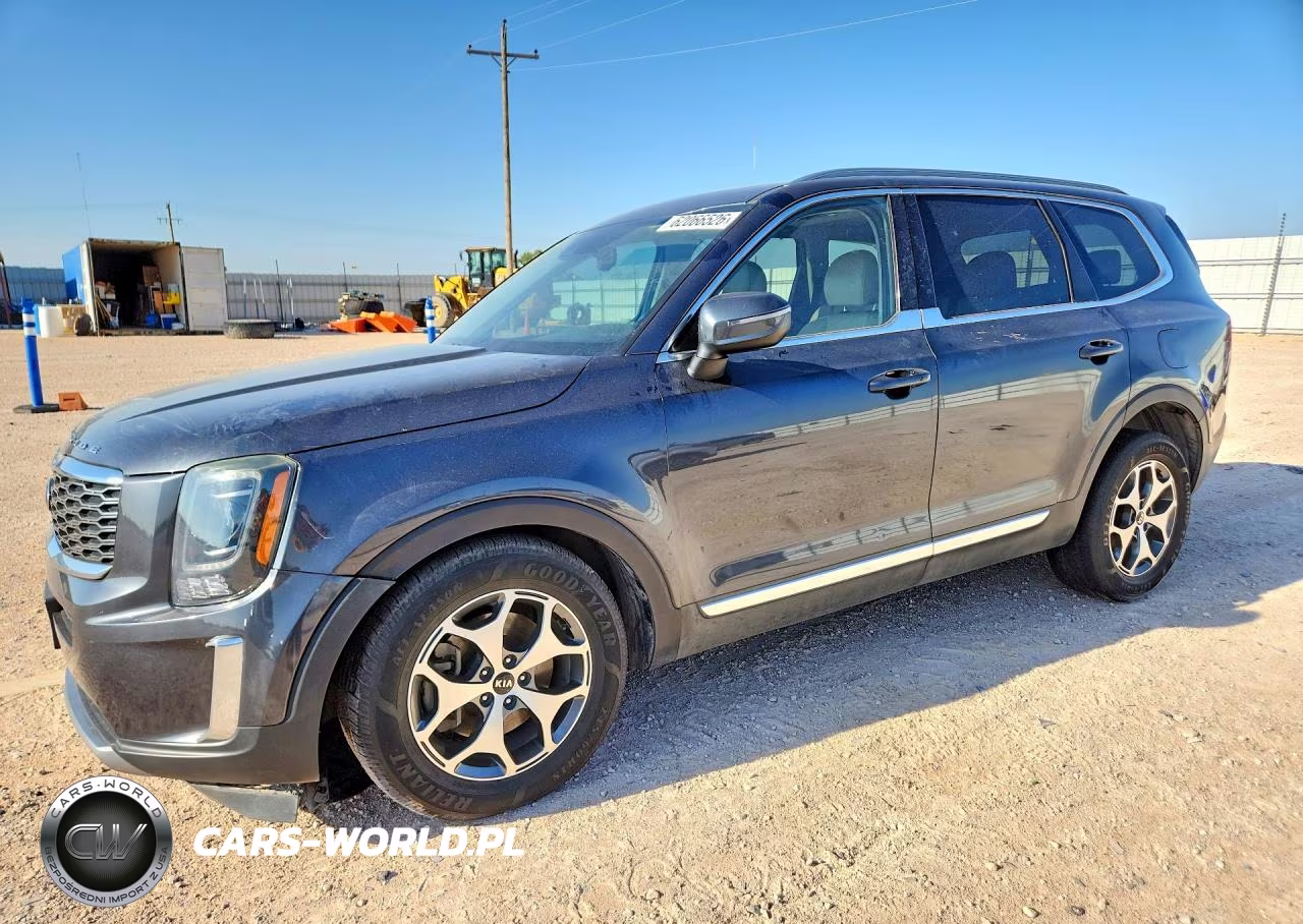 2020 Kia Telluride Ex VIN:5XYP34HC9LG084023 - 1