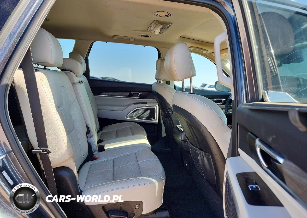 2020 Kia Telluride Ex VIN:5XYP34HC9LG084023 - 11