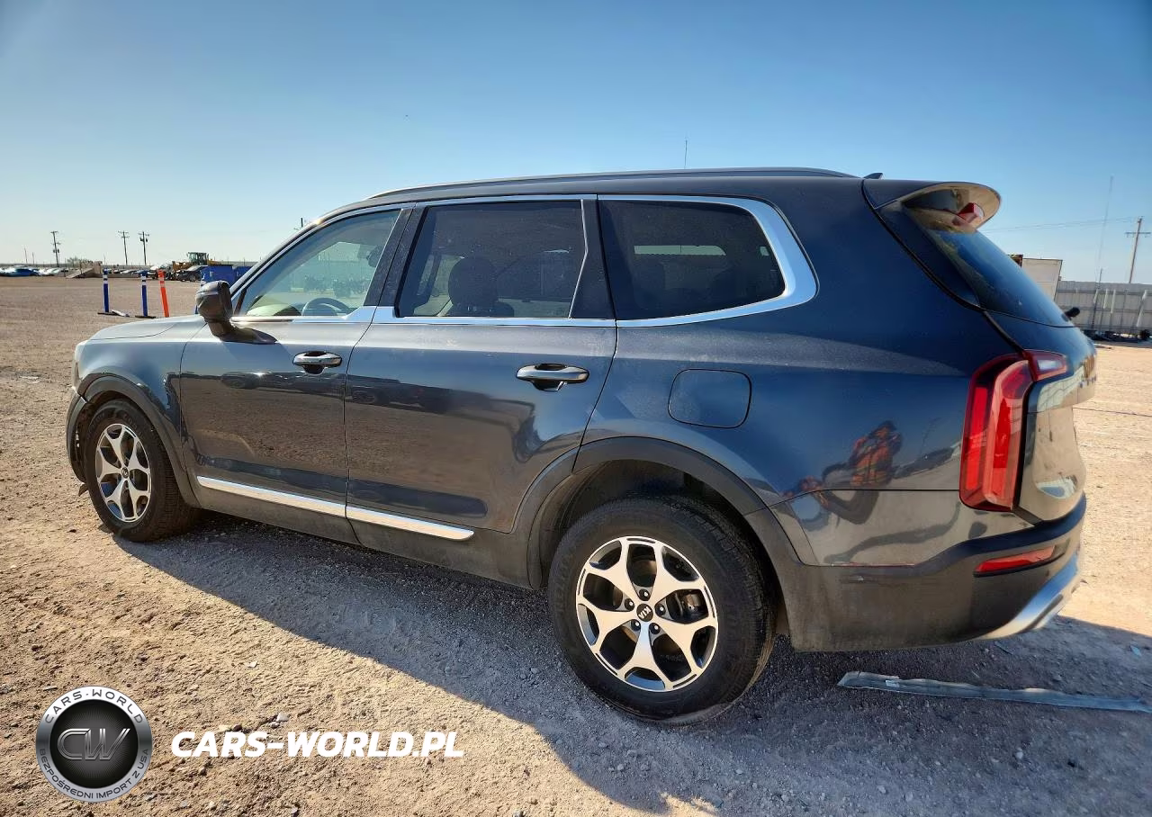 2020 Kia Telluride Ex VIN:5XYP34HC9LG084023 - 2