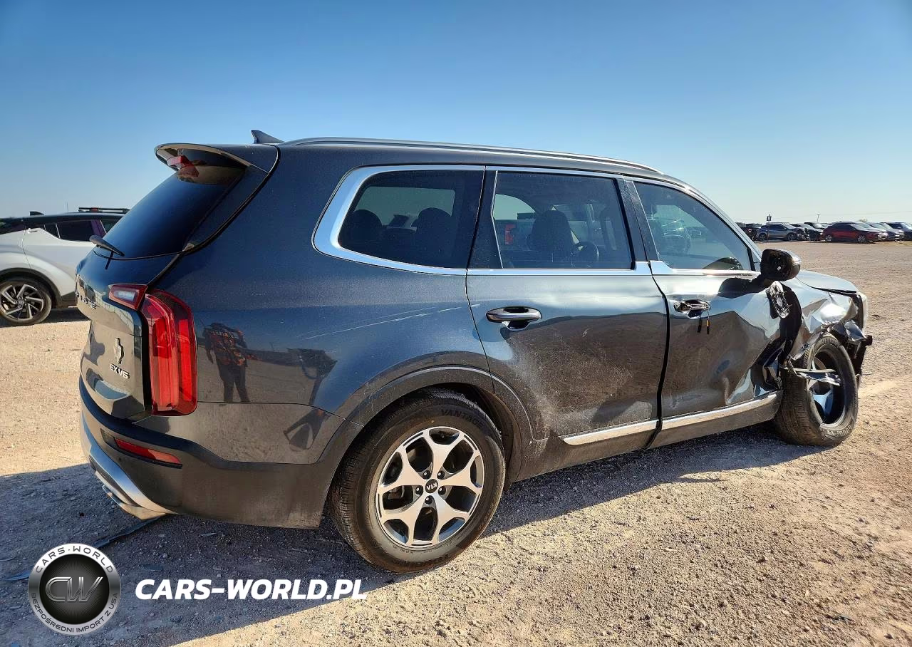 2020 Kia Telluride Ex VIN:5XYP34HC9LG084023 - 3