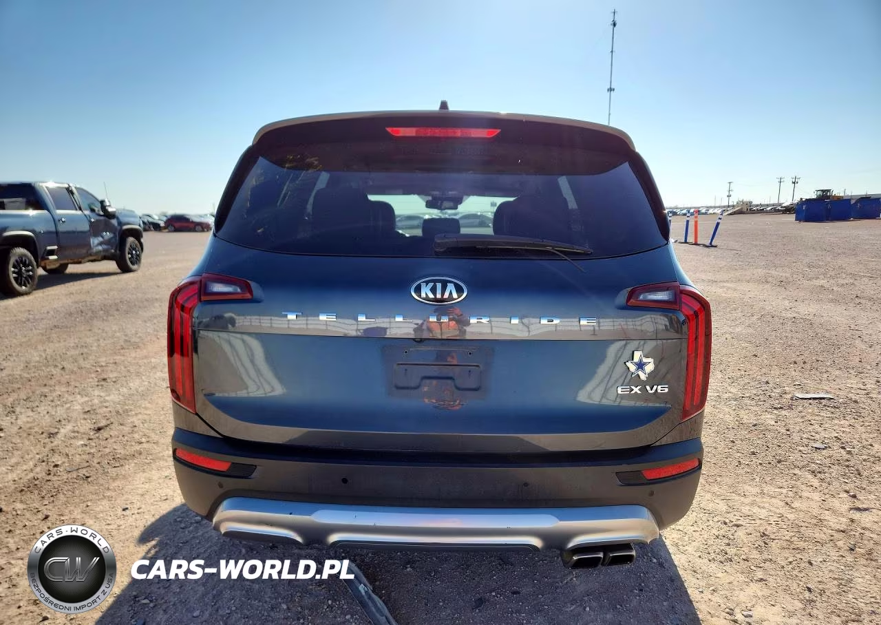 2020 Kia Telluride Ex VIN:5XYP34HC9LG084023 - 6