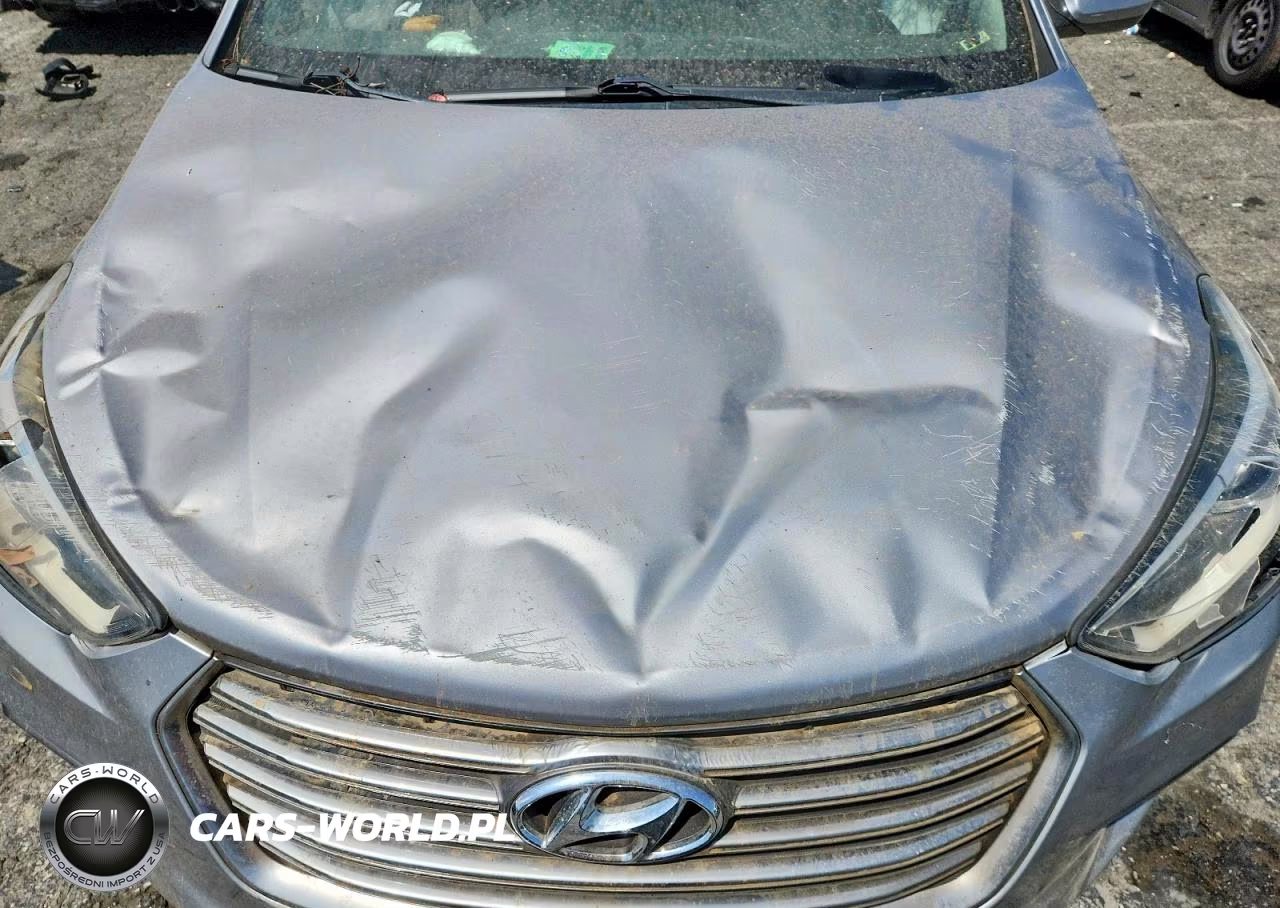 2019 Hyundai Santa Fe Xl Se VIN:KM8SM4HFXKU307244 - 12