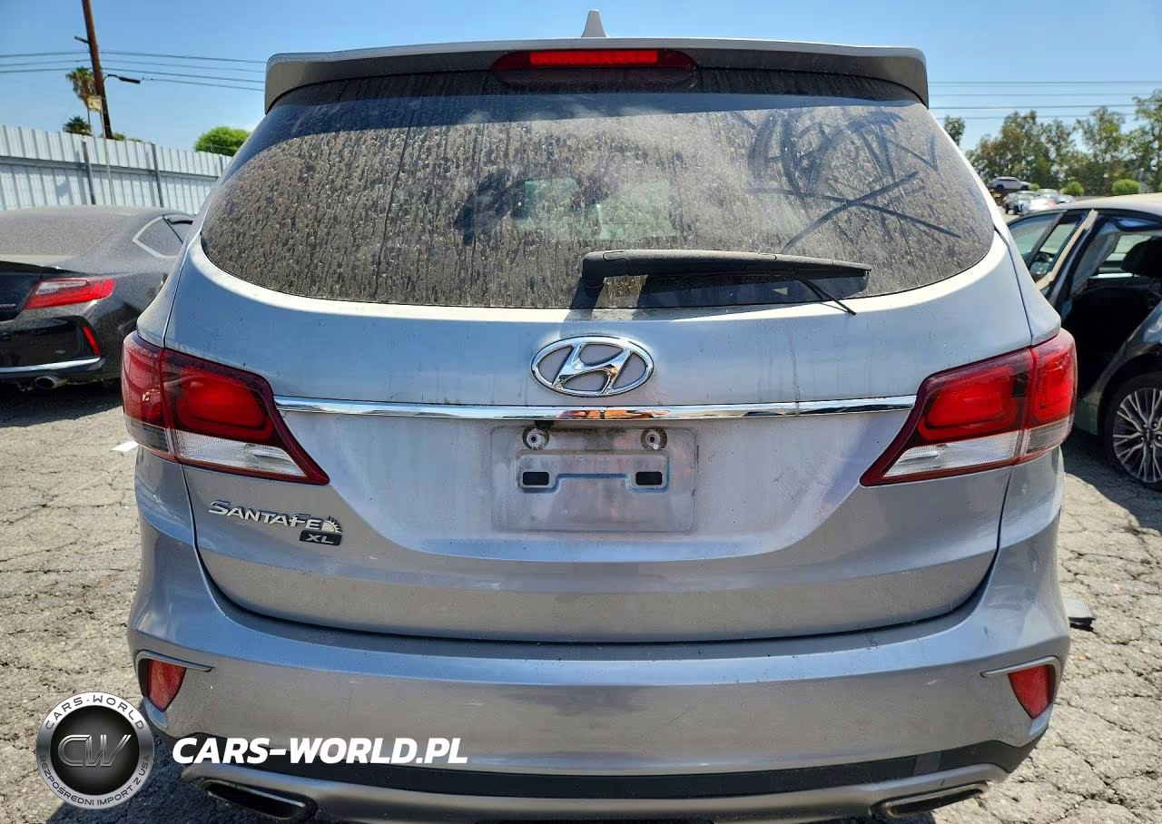 2019 Hyundai Santa Fe Xl Se VIN:KM8SM4HFXKU307244 - 6